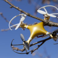 Drone Delivery…To Prison